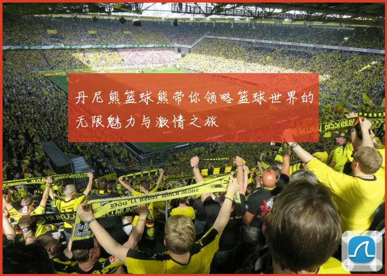 丹尼熊篮球熊带你领略篮球世界的无限魅力与激情之旅