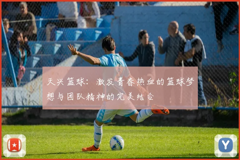 天兴篮球：激发青春热血的篮球梦想与团队精神的完美结合