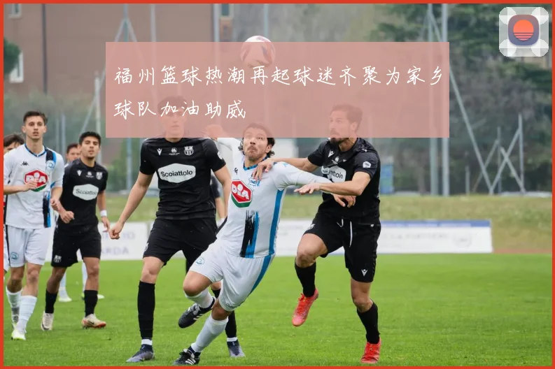 福州篮球热潮再起球迷齐聚为家乡球队加油助威
